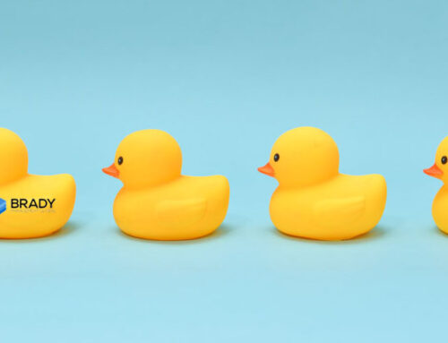 Bookkeeping is as easy as “Having your ducks in a row”